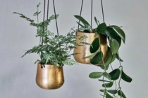 Golden hanging pots