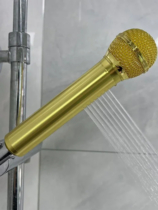 Shower microphone