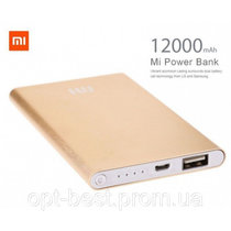 Xiaomi Mi Power Bank 12000 mAh