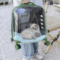 Suitcase for a cat