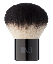 Kabuki brush