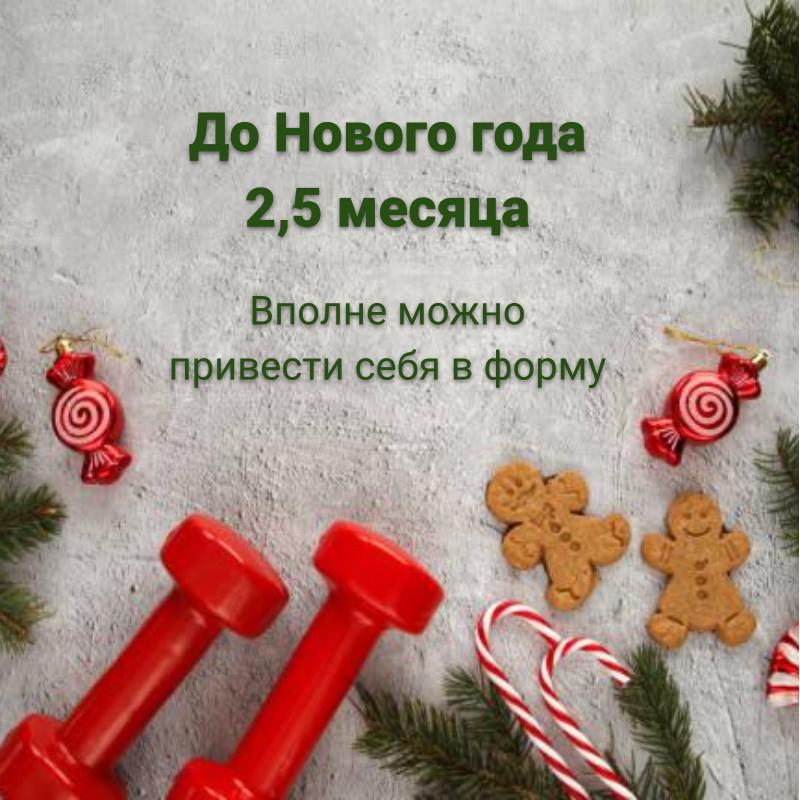 до нового года вполне можно привести себя в форму